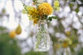 Sunflowers and yellow blum flowers with rustic decoration Royalty Free Stock Photo