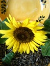 Sunflower seeds and leaves in yellow bowl Royalty Free Stock Photo