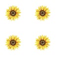 Sunflowers, yellow flowers, floral illustration, seamless pattern
