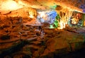 Vast Cavern in Sung Sot Cave Halong Bay Vietnam