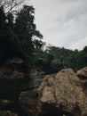 Sungai Alam Sejuk Hutan Pohon Batuan