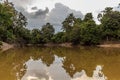 Sungai Lokan stream near Kinabatangan river, Sabah, Malays Royalty Free Stock Photo