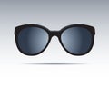 Sunglass isolated. Vector Icons.