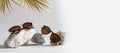 Sunglasses banner concept with golden palm leaves. Optic shop summer discount banner. Two pairs of trendy sunglasses on stones on Royalty Free Stock Photo