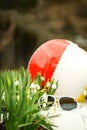 Sunglasses and a beach ball between a lots of galanthus nivalis, concept Spring