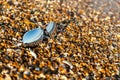 Sunglasses, beach, reflection, summer, exposure, sand, pebbles, Royalty Free Stock Photo