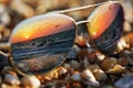 Sunglasses on beach with sea reflected in them Royalty Free Stock Photo