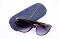 Sunglasses and case Royalty Free Stock Photo