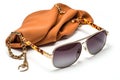 sunglasses on a chain around the neck, with aviator sunglasses and scarf
