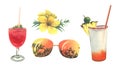 sunglasses, cocktails and tropical flowers. Watercolor illustration. Isolated objects from a large CUBE set. For the