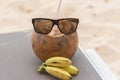 Sunglasses on the coconut Royalty Free Stock Photo
