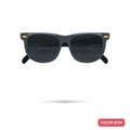 Sunglasses color flat icon for web and mobile design