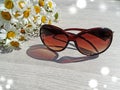 Sunglasses and daisy flowers summer holiday background Royalty Free Stock Photo