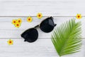 Sunglasses decorate with fern leaves