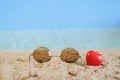 Sunglasses eyeware drop on tropical  beach Royalty Free Stock Photo