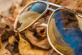 Sunglasses on fallen yellow autumn leaves Royalty Free Stock Photo