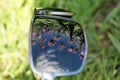 Sunglasses and flowers reflection