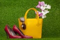 Sunglasses, handbag; and red shoes Royalty Free Stock Photo