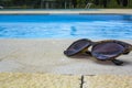 Sunglasses next to the Swimming Pool Royalty Free Stock Photo
