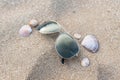 Sunglasses on the sand surrounded by seashells Royalty Free Stock Photo