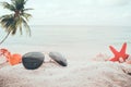 Sunglasses on sandy in seaside summer beach with starfish, shells, coral on sandbar and blur sea background.