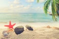 Sunglasses on sandy in seaside summer beach with starfish, shells, coral on sandbar and blur sea background.