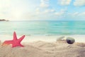 Sunglasses on sandy in seaside summer beach with starfish, shells, coral on sandbar and blur sea background Royalty Free Stock Photo