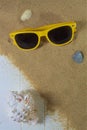 Sunglasses and seashells Royalty Free Stock Photo