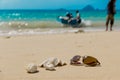 Sunglasses and shell on tropical beach with departing boat Royalty Free Stock Photo