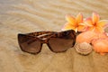 Sunglasses, shells on sand beach