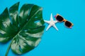 Sunglasses and starfish and palm leaf
