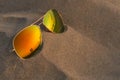 Sunglasses with sunset and couple reflection in sand at beach