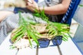 Sunglasses on a white bench, straw bag, palm leaves, shells. Beach holidays, travel, resort, eye protection Royalty Free Stock Photo