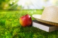 Sunhat, book and fresh apple