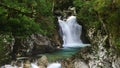 Sunik water grove, Julian alps, Slovenia