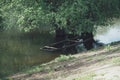 A sunken boat on the riverbank under a tree. Vintage scene Royalty Free Stock Photo