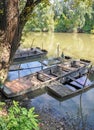 Sunken boats on the river Tisza