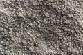 Sunken disk lichen Aspicilia calcarea. Royalty Free Stock Photo