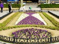 Sunken Flower Bed Royalty Free Stock Photo