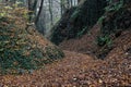 A sunken foot path in the autumn filled with foliage