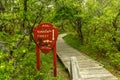 Sunken Forest - Fire Island, New York