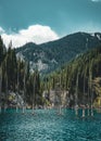 The sunken forest of Lake Kaindy. Lake Kaindy, meaning the `birch tree lake` is a 400-meter-long lake in Kazakhstan that Royalty Free Stock Photo