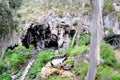 Sunken Forest and Limestone at Lake Cave