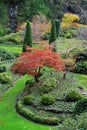 Sunken garden in butchart gardens Royalty Free Stock Photo