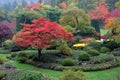 Sunken garden in fall Royalty Free Stock Photo