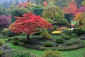 Sunken garden in fall