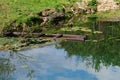 Sunken old wooden boat in summer river