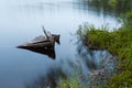 Sunken Rowboat Abandoned In Small Forest Lake