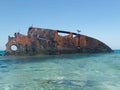 Sunken ship and seagulls  near the beach in Hurghada, Egypt Royalty Free Stock Photo