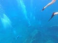 Sunken ship under the sea. Beautifiul underwater colorful coral reef at Caribbean Sea at Honeymoon Beach on St. Thomas Royalty Free Stock Photo